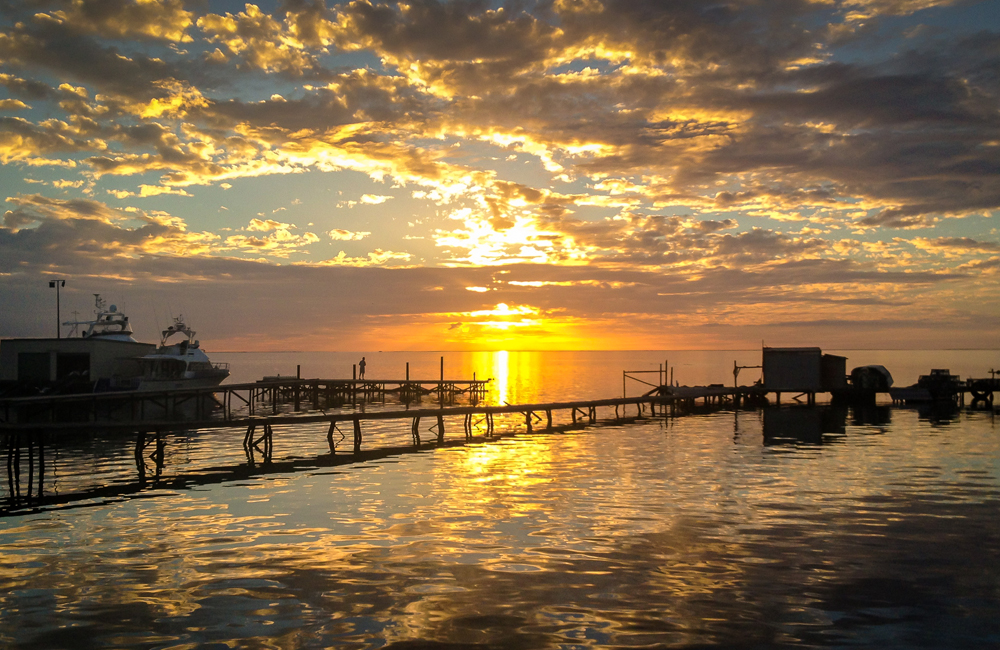 Abrolhos-2