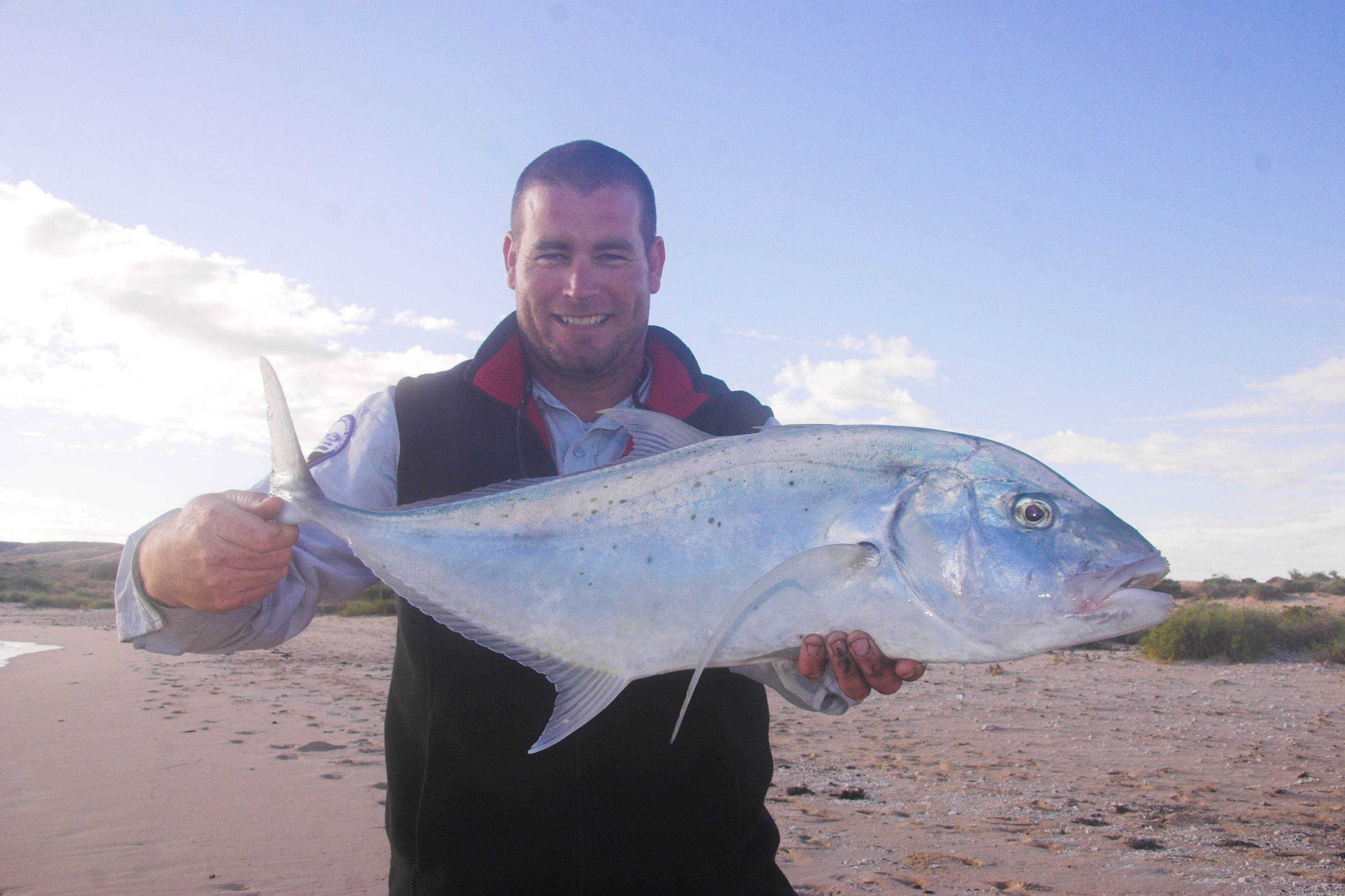 Daves-Gold-Spot