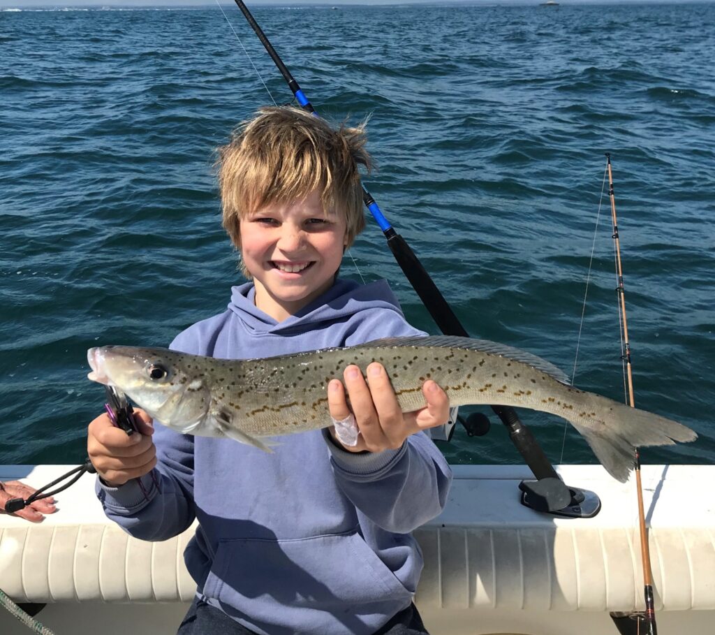 King George Whiting