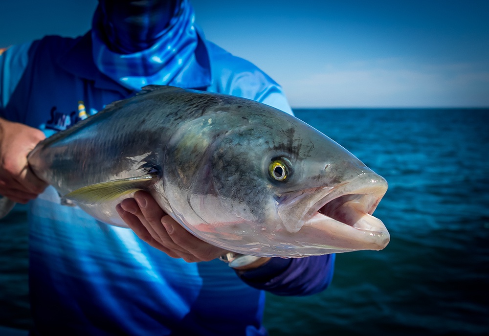 Salmon lures  ilovefishing