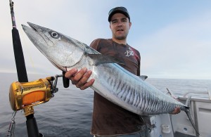 Spanish Mackerel