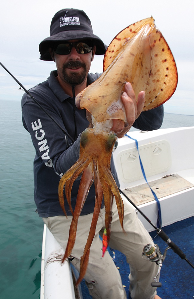 catching squid with lights