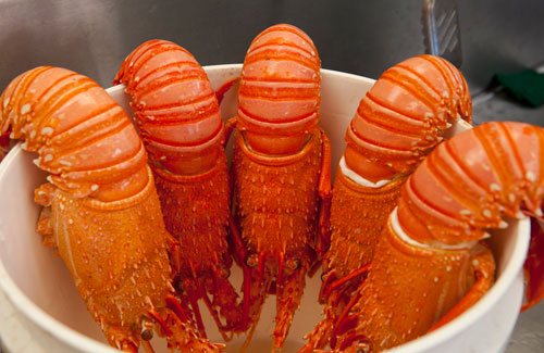 Cooked western rock lobster