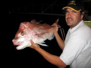 tagged snapper