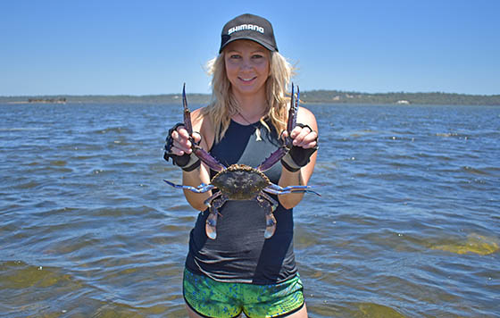 Alanna Hubbard blue swimmer crab WEB2 ilovefishing