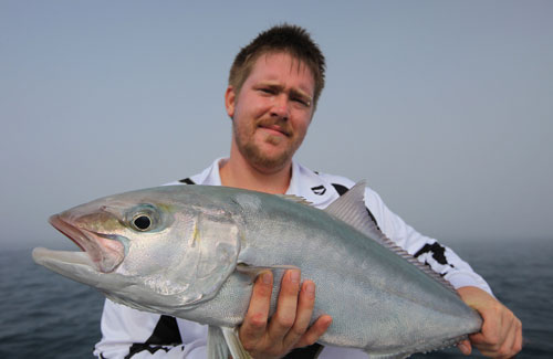 Jurien Bay samsonfish