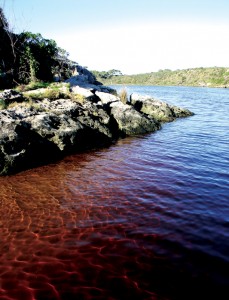 Moore River rock wall