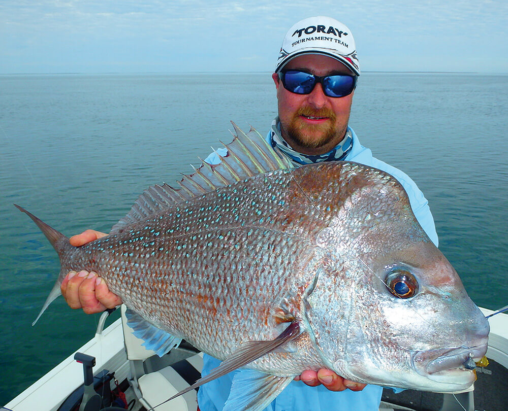 Pink Snapper  ilovefishing