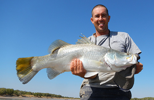 Barramundi | ilovefishing