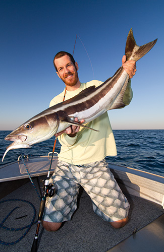 Cobia ilovefishing