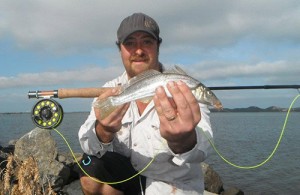 Early days of whiting on fly