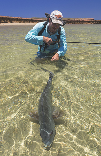 Releasing a fish