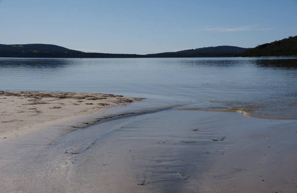 Oyster Harbour in Albany