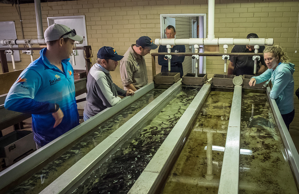 Hatchery visit photo