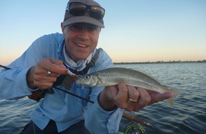 Swan River whiting