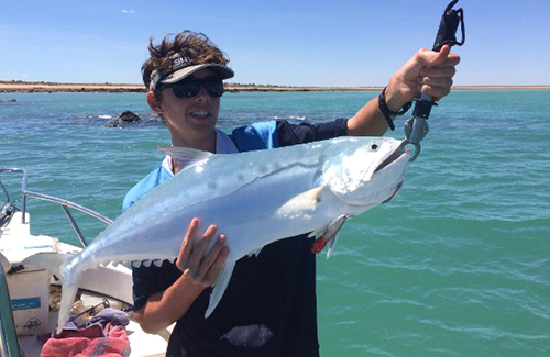 Broome Queenfish