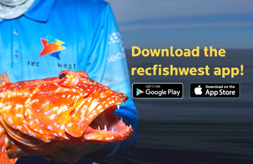 RecfishwestAppFeature