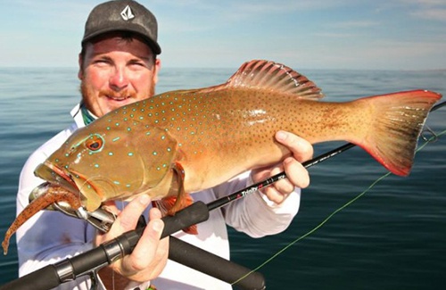 Broome Coral Trout