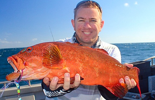 Geraldton Coral Trout