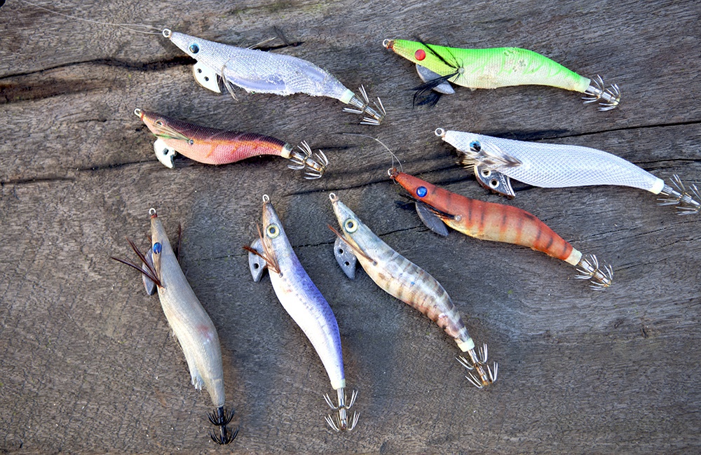 How to choose a squid jig - Fishing World Australia