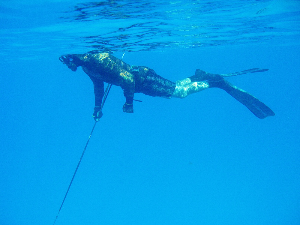 An 'In-Depth' Look Into Spearfishing