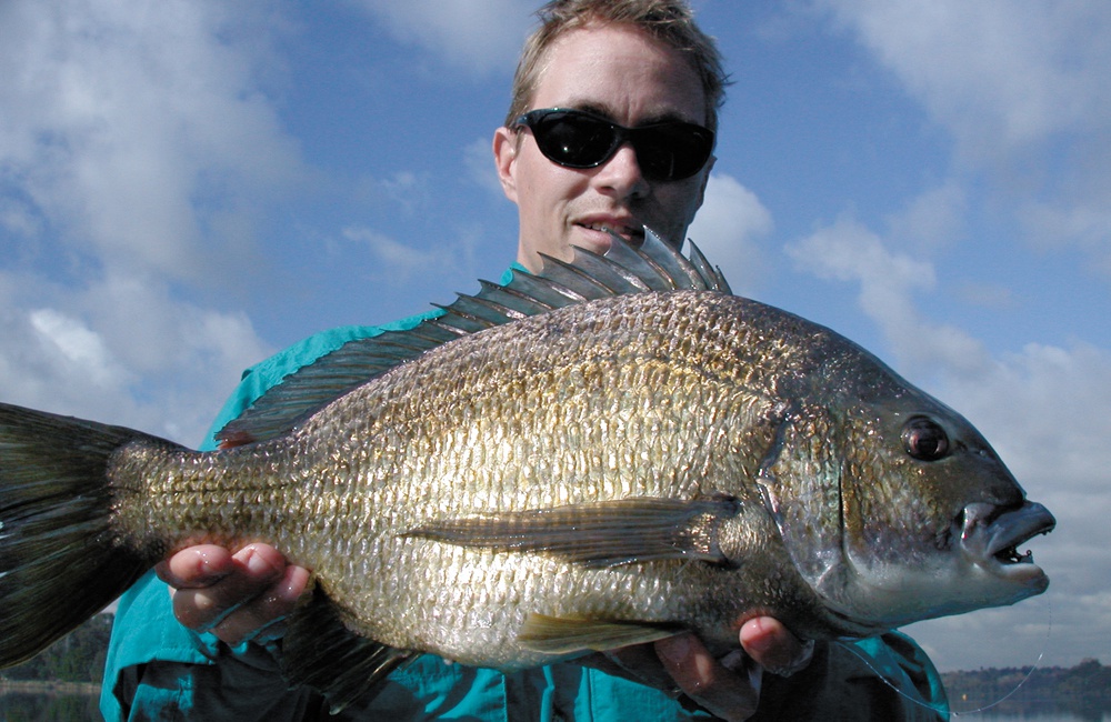 Huge Swan River Winter bream