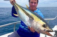 Exmouth Yellowfin Tuna