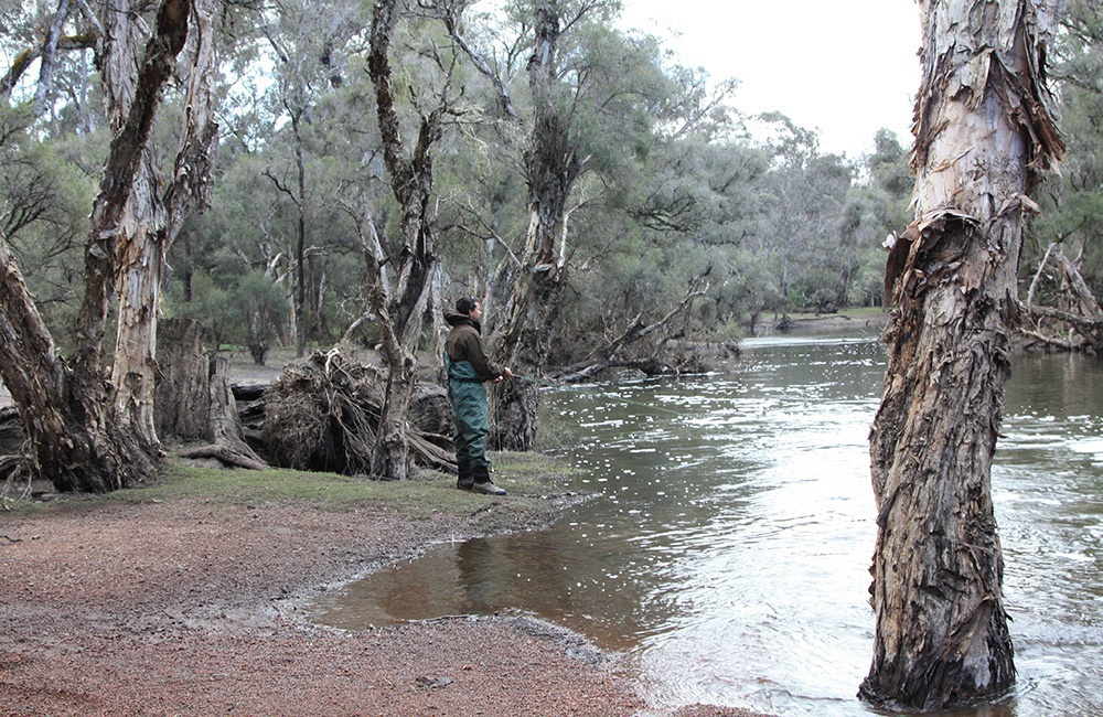 Fly fishing pic