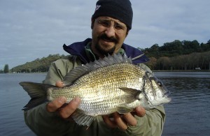 Swan river winter bream