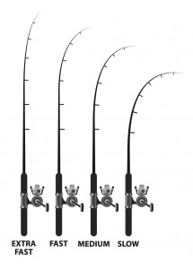 Rod action diagram