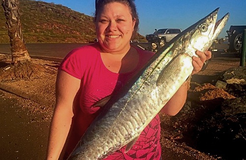 Exmouth Spanish Mackerel