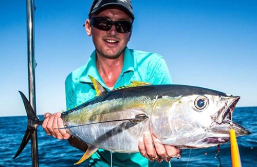 Exmouth yellowfin tuna