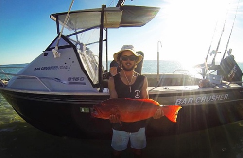 Broome coral trout