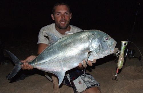 Exmouth giant trevally