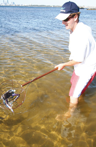 Crab Drop Net Bunbury Special