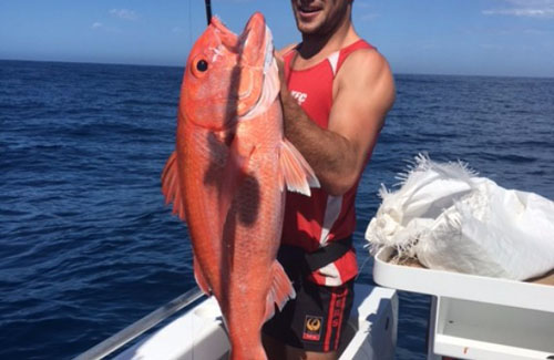 Exmouth ruby snapper