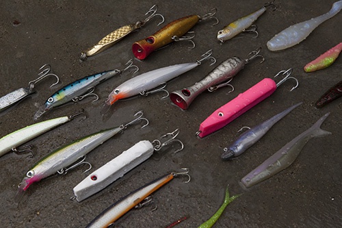 Australian Salmon Fishing Guide – Halco Lures