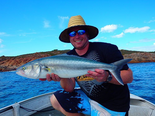 how to catch Australian salmon - Fishing Chat - DECKEE Community