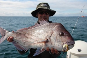 Snapper on soft plastic