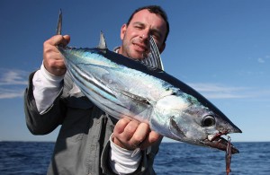 Tuna winter fishing