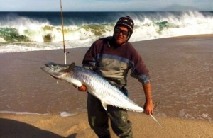 Kalbarri Spanish mackerel