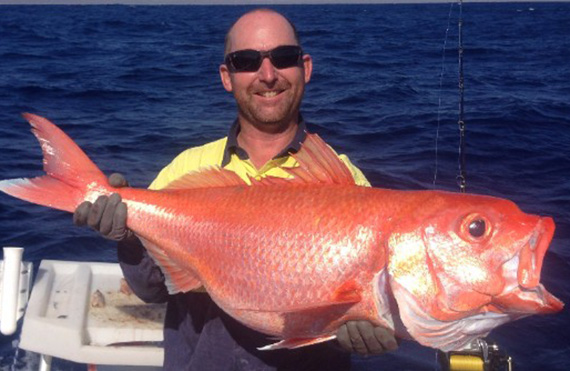 Exmouth ruby snapper