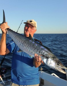 Kalbarri Spanish mackerel