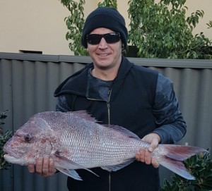 North Mole pink snapper