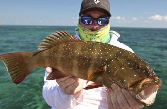 Exmouth coral trout