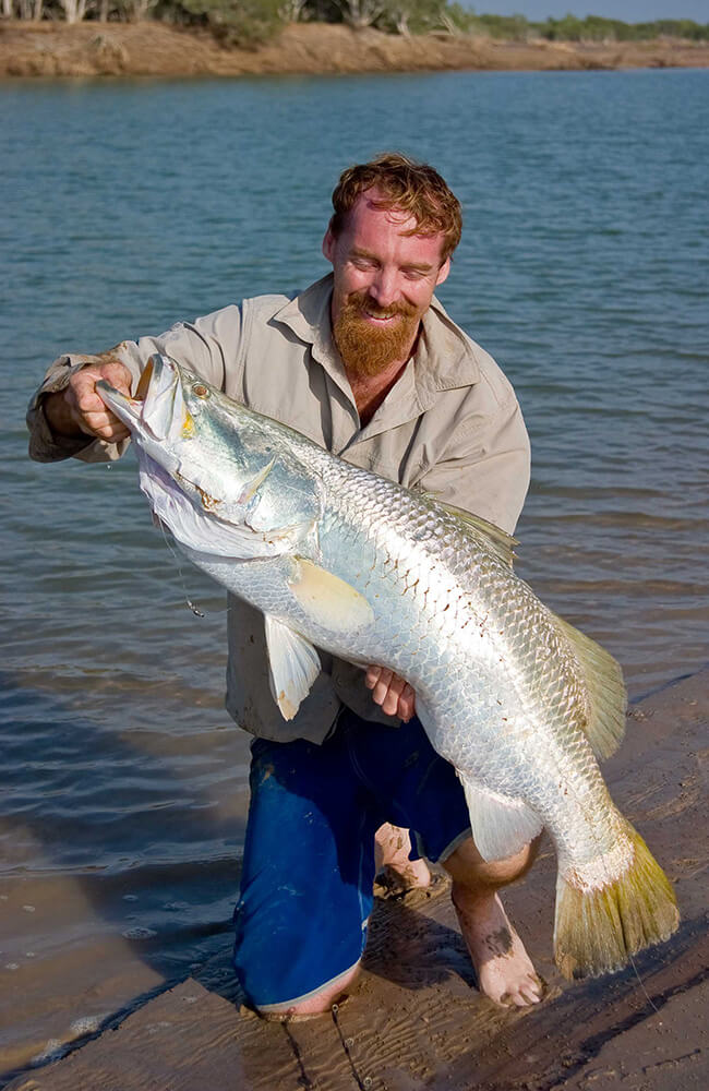 Barramundi on lure : r/Fishing