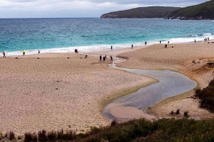 Albany beach