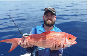 Exmouth ruby snapper