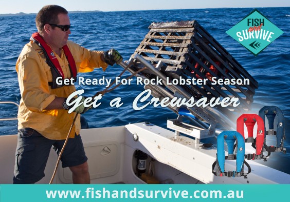Fish and Survive lobster ad