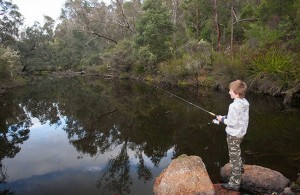 Warren River fishing